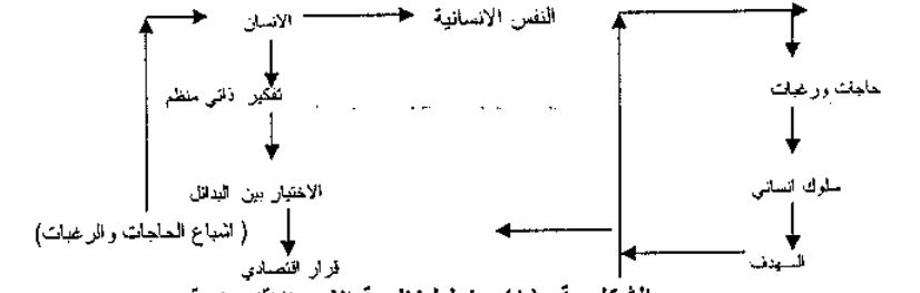 نموذج البحث